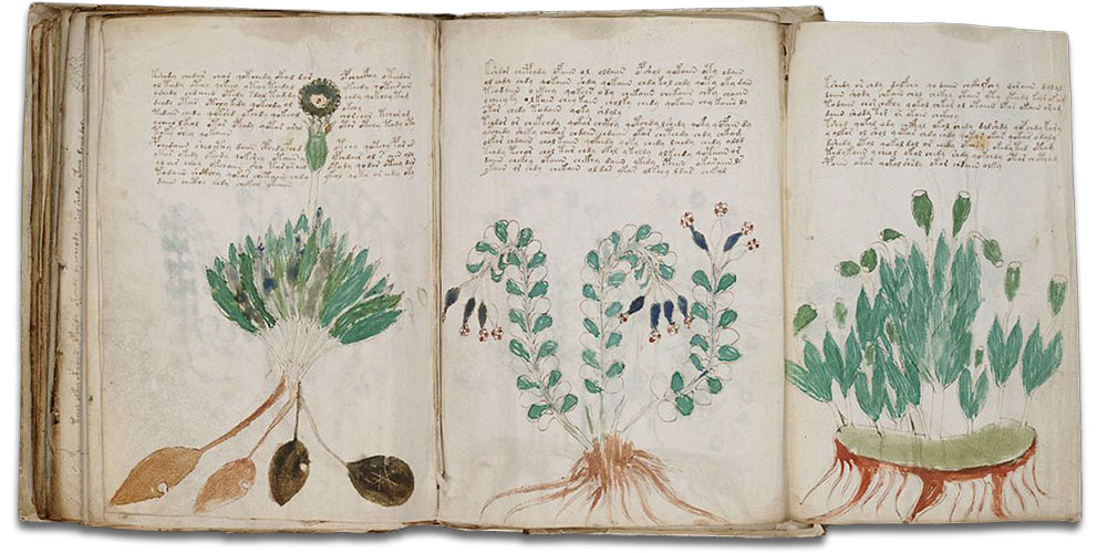 pml_voynich_manuscript